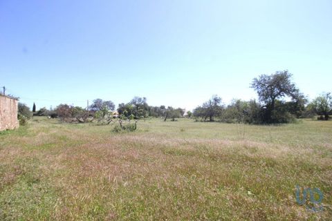 Helårsgrund i Albufeira, Faro, Albufeira - € 400.000 | Ref: 142591 - foto 1