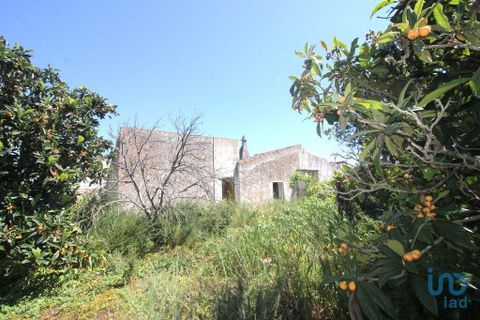 Helårsgrund i Albufeira, Faro, Albufeira - € 400.000 | Ref: 142591 - foto 7