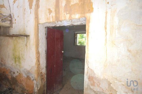 Helårsgrund i Albufeira, Faro, Albufeira - € 400.000 | Ref: 142591 - foto 14