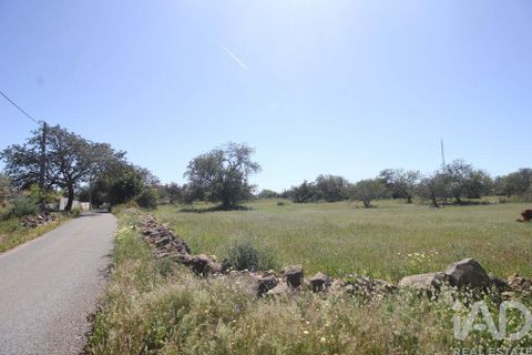 Helårsgrund i Albufeira, Faro, Albufeira - € 400.000 | Ref: 142591 - foto 4