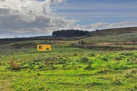 Farm i Baiao, Porto, Baiao - € 595.000 | Ref: 11701 - foto 2