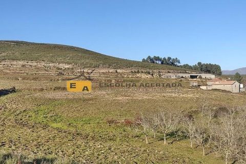 Farm i Baiao, Porto, Baiao - € 595.000 | Ref: 11701 - foto 5