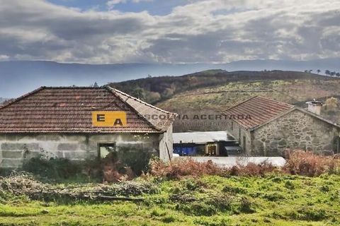 Farm i Baiao, Porto, Baiao - € 595.000 | Ref: 11701 - foto 14