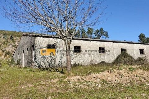 Farm i Baiao, Porto, Baiao - € 595.000 | Ref: 11701 - foto 15
