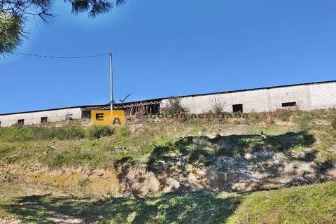 Farm i Baiao, Porto, Baiao - € 595.000 | Ref: 11701 - foto 17