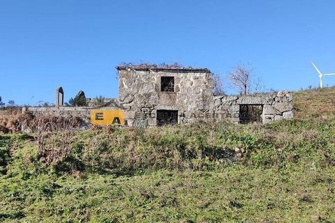 Farm i Baiao, Porto, Baiao - € 595.000 | Ref: 11701 - foto 18