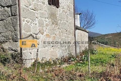 Farm i Baiao, Porto, Baiao - € 595.000 | Ref: 11701 - foto 21