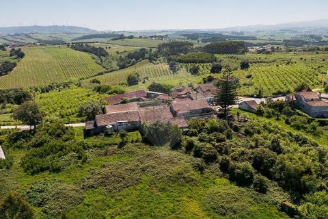 Farm i Carvalhal, Leiria, Carvalhal - € 895.000 | Ref: 121701262-220 - foto 2