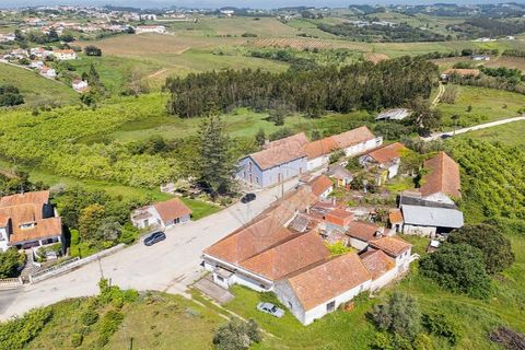 Farm i Carvalhal, Leiria, Carvalhal - € 895.000 | Ref: 121701262-220 - foto 3