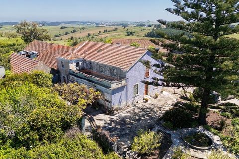 Farm i Carvalhal, Leiria, Carvalhal - € 895.000 | Ref: 121701262-220 - foto 4