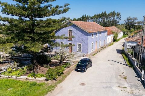 Farm i Carvalhal, Leiria, Carvalhal - € 895.000 | Ref: 121701262-220 - foto 5