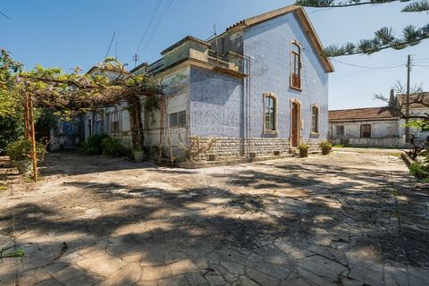 Farm i Carvalhal, Leiria, Carvalhal - € 895.000 | Ref: 121701262-220 - foto 8