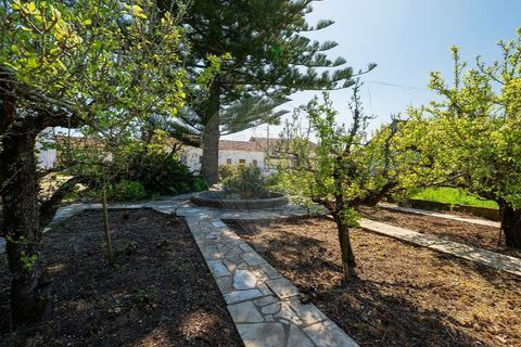 Farm i Carvalhal, Leiria, Carvalhal - € 895.000 | Ref: 121701262-220 - foto 9