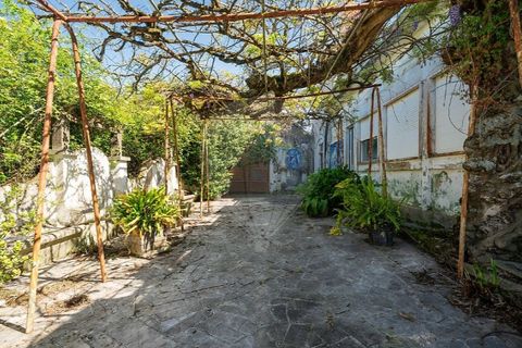 Farm i Carvalhal, Leiria, Carvalhal - € 895.000 | Ref: 121701262-220 - foto 11