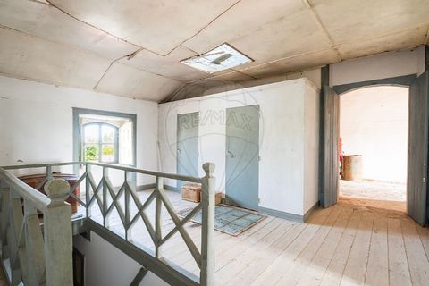 Farm i Carvalhal, Leiria, Carvalhal - € 895.000 | Ref: 121701262-220 - foto 29