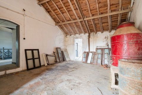 Farm i Carvalhal, Leiria, Carvalhal - € 895.000 | Ref: 121701262-220 - foto 30
