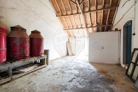 Farm i Carvalhal, Leiria, Carvalhal - € 895.000 | Ref: 121701262-220 - foto 32