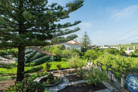 Farm i Carvalhal, Leiria, Carvalhal - € 895.000 | Ref: 121701262-220 - foto 36