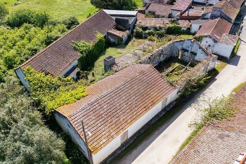 Farm i Carvalhal, Leiria, Carvalhal - € 895.000 | Ref: 121701262-220 - foto 37