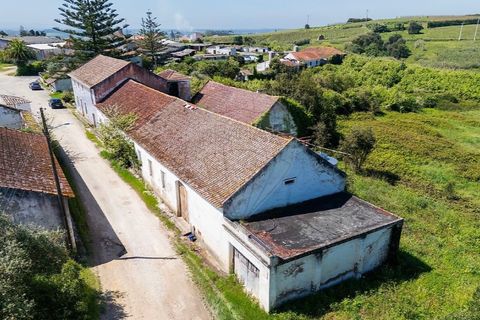 Farm i Carvalhal, Leiria, Carvalhal - € 895.000 | Ref: 121701262-220 - foto 38