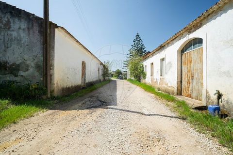 Farm i Carvalhal, Leiria, Carvalhal - € 895.000 | Ref: 121701262-220 - foto 39