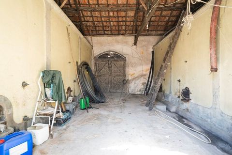 Farm i Carvalhal, Leiria, Carvalhal - € 895.000 | Ref: 121701262-220 - foto 40