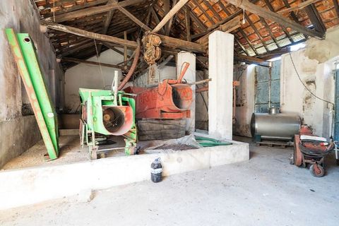 Farm i Carvalhal, Leiria, Carvalhal - € 895.000 | Ref: 121701262-220 - foto 41