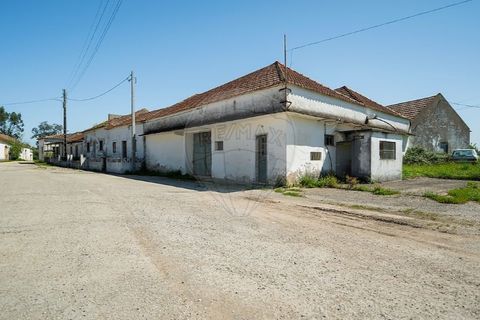 Farm i Carvalhal, Leiria, Carvalhal - € 895.000 | Ref: 121701262-220 - foto 42