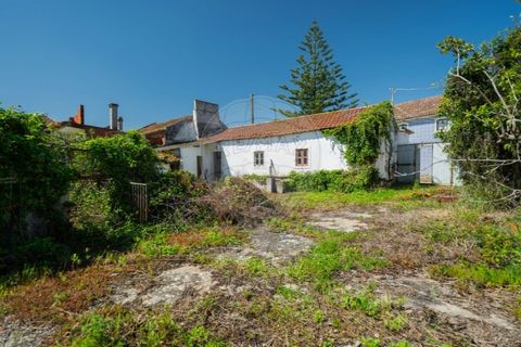 Farm i Carvalhal, Leiria, Carvalhal - € 895.000 | Ref: 121701262-220 - foto 43