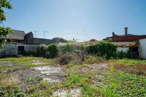 Farm i Carvalhal, Leiria, Carvalhal - € 895.000 | Ref: 121701262-220 - foto 44