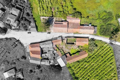 Farm i Carvalhal, Leiria, Carvalhal - € 895.000 | Ref: 121701262-220 - foto 46