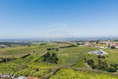 Farm i Carvalhal, Leiria, Carvalhal - € 895.000 | Ref: 121701262-220 - foto 47