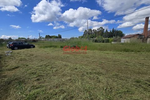 Helårsgrund i Viseu, Viseu, Viseu - € 84.500 | Ref: 189252121 - foto 1
