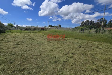 Helårsgrund i Viseu, Viseu, Viseu - € 84.500 | Ref: 189252121 - foto 2