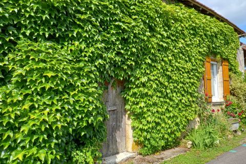 Villa a Sussey, Cote-d'Or, Sussey - € 35.000 | Ref: 4895 - foto 7