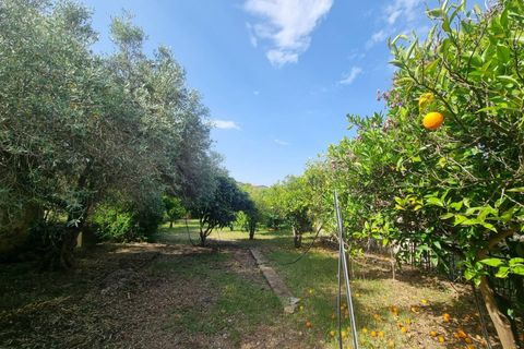 Villa i Nuxis, Sud Sardegna, Nuxis - € 159.000 | Ref: GT62 - foto 17