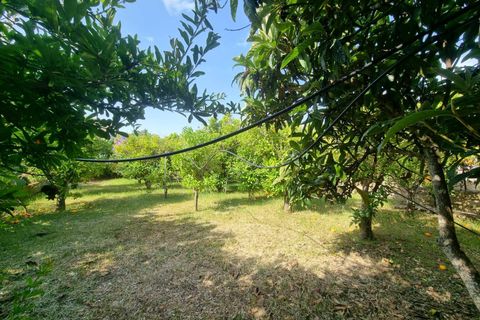 Villa i Nuxis, Sud Sardegna, Nuxis - € 159.000 | Ref: GT62 - foto 19