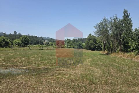 Helårsgrund i Vila Verde, Braga, Vila Verde - € 79.000 | Ref: 08649 - foto 12