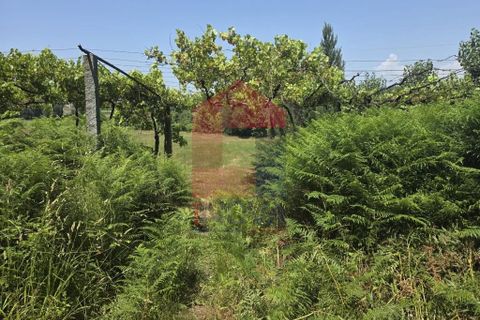 Helårsgrund i Vila Verde, Braga, Vila Verde - € 79.000 | Ref: 08649 - foto 24