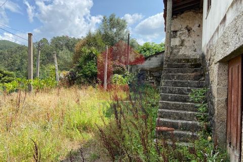 Byhus i Terras de Bouro, Braga, Terras de Bouro - € 120.000 | Ref: 08629 - foto 19