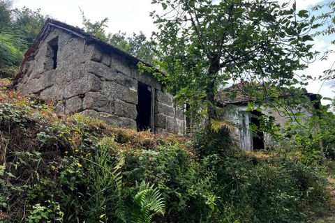 Farm i Amarante, Porto, Amarante - € 90.000 | Ref: 763 - foto 1