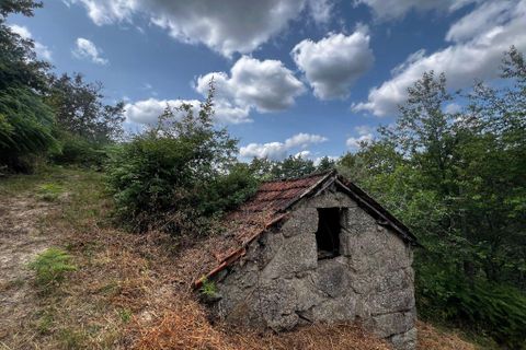 Farm i Amarante, Porto, Amarante - € 90.000 | Ref: 763 - foto 2