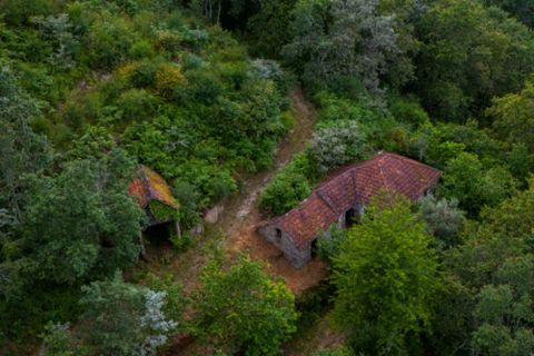 Farm i Amarante, Porto, Amarante - € 90.000 | Ref: 763 - foto 3