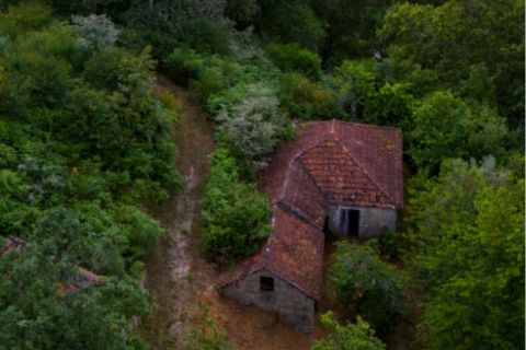 Farm i Amarante, Porto, Amarante - € 90.000 | Ref: 763 - foto 4