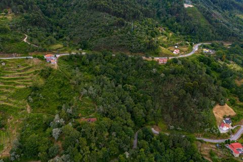 Farm i Amarante, Porto, Amarante - € 90.000 | Ref: 763 - foto 5