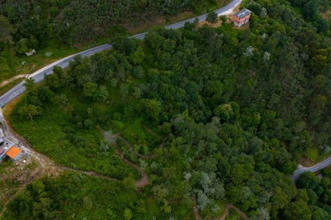 Farm i Amarante, Porto, Amarante - € 90.000 | Ref: 763 - foto 6