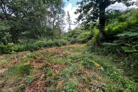 Farm i Amarante, Porto, Amarante - € 90.000 | Ref: 763 - foto 7