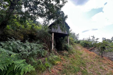 Farm i Amarante, Porto, Amarante - € 90.000 | Ref: 763 - foto 8
