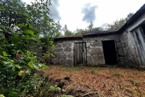 Farm i Amarante, Porto, Amarante - € 90.000 | Ref: 763 - foto 9