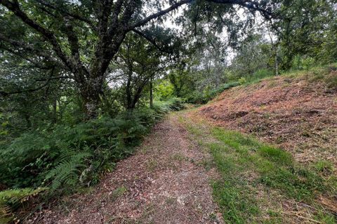 Farm i Amarante, Porto, Amarante - € 90.000 | Ref: 763 - foto 10